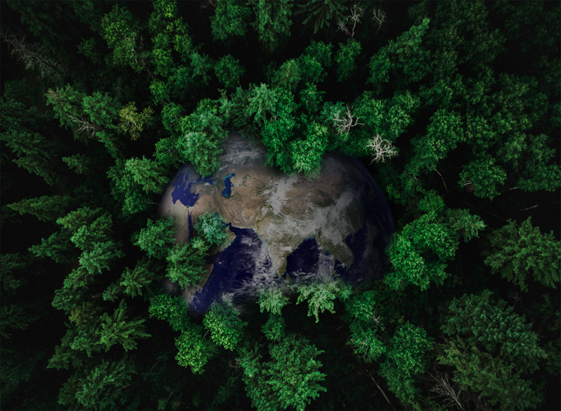 博天堂(btt)官网-918博天堂,让你更精彩